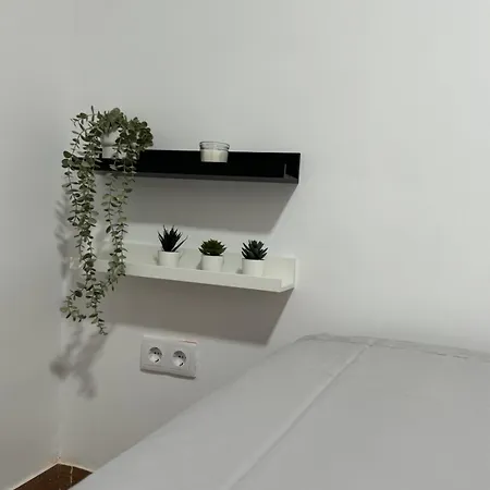 Privada En Piso Compartido Cerca Del Centro * Alicante